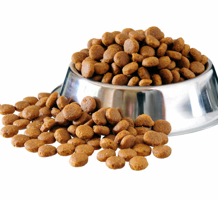 SAARBOX MIX|Adult| Cat| 1kg
